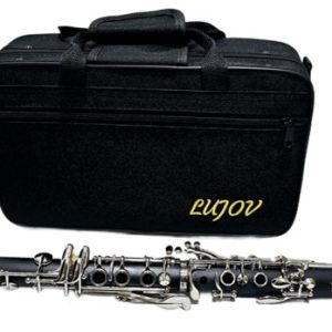 Clarinete Con Estuche Lujov